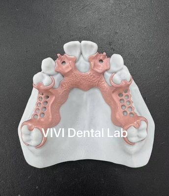 الصين VIVI DENTAI LABORATORY الشهادات