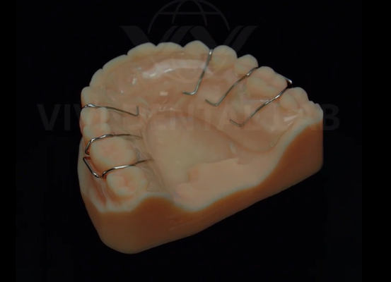 الصين VIVI DENTAI LABORATORY الشهادات